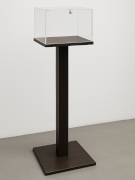 Base espositiva con teca in plexiglass