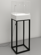 struttura in metallo con teca in plexiglass