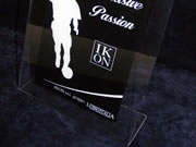 dispaly a4 in plexiglass stampato