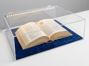 Teca in plexiglass con illuminazione mediante strip led